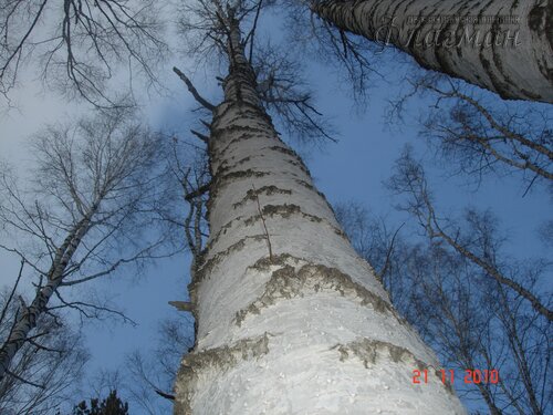 DSC04661_r